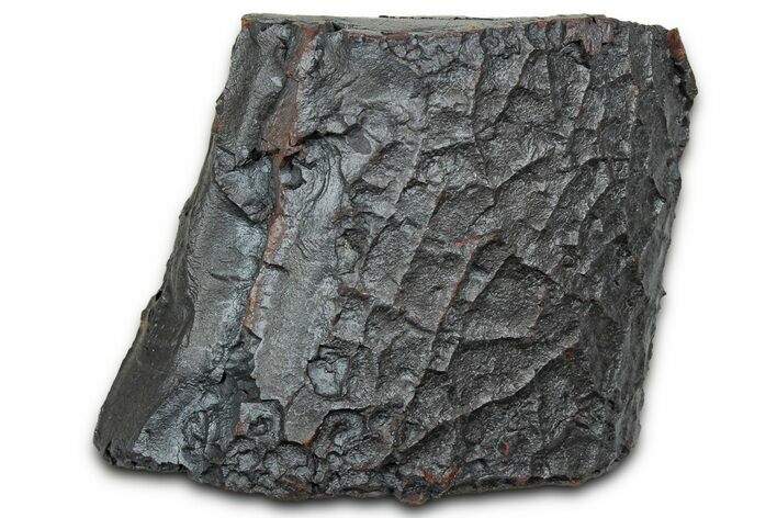 Dragon Scale Stone (Iron, Manganese, Siderite Nodule) #330327
